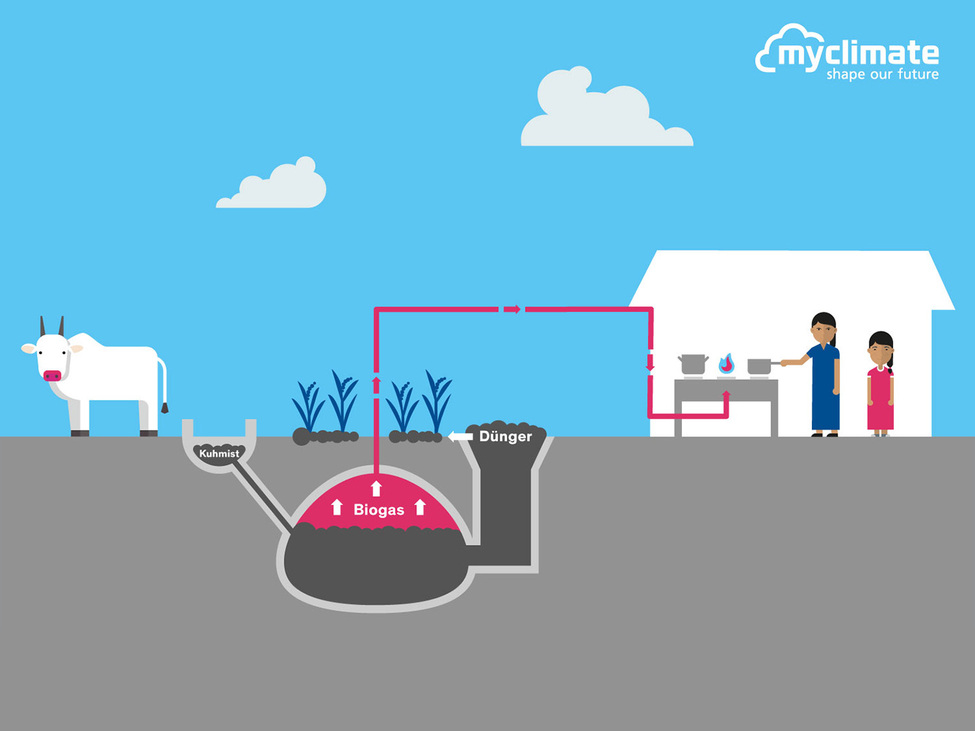 Biogas Erklärungsgraphik