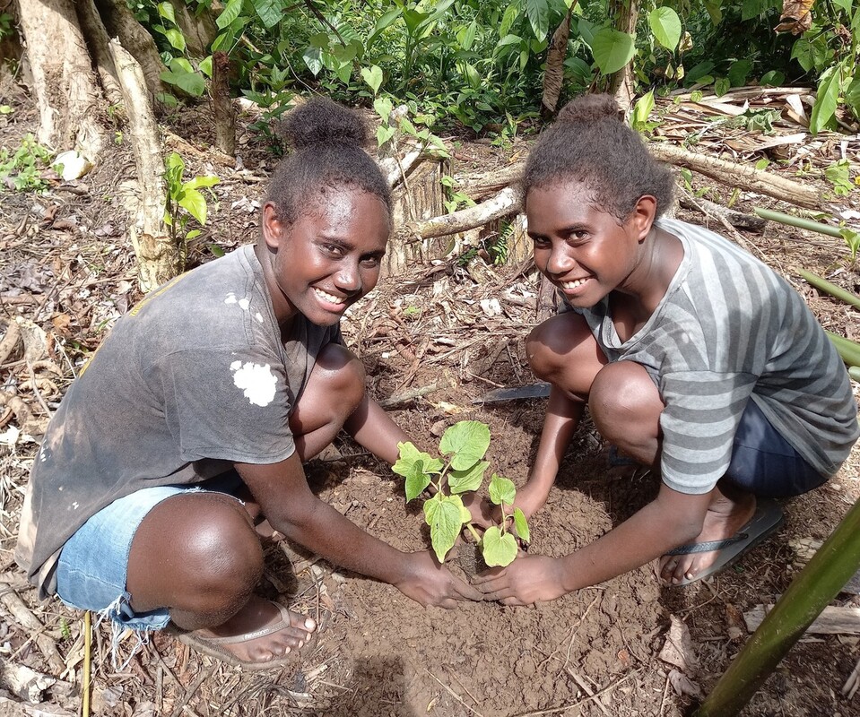 Mädchen beim Einpflanzen von Kava