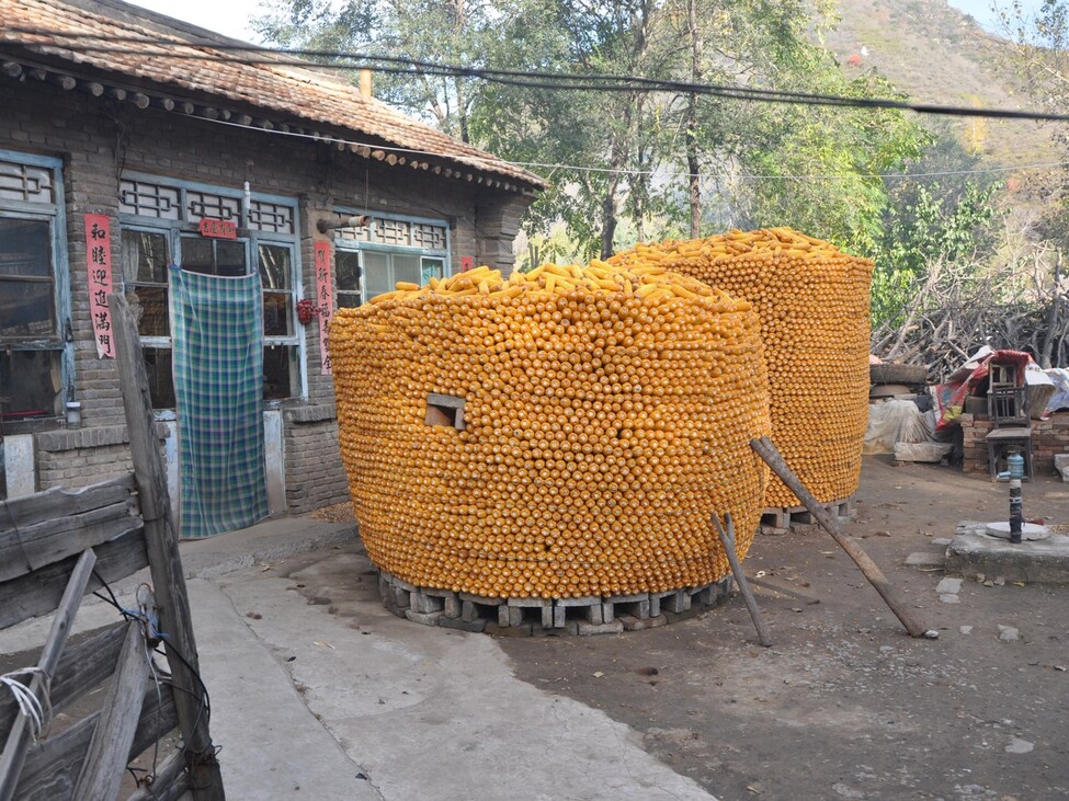 Maiskolbenstapel in China
